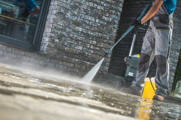 Best Graffiti Removal  in Princeton, FL